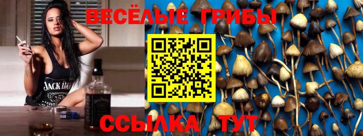 Галлюциногенные грибы Cubensis Черняховск