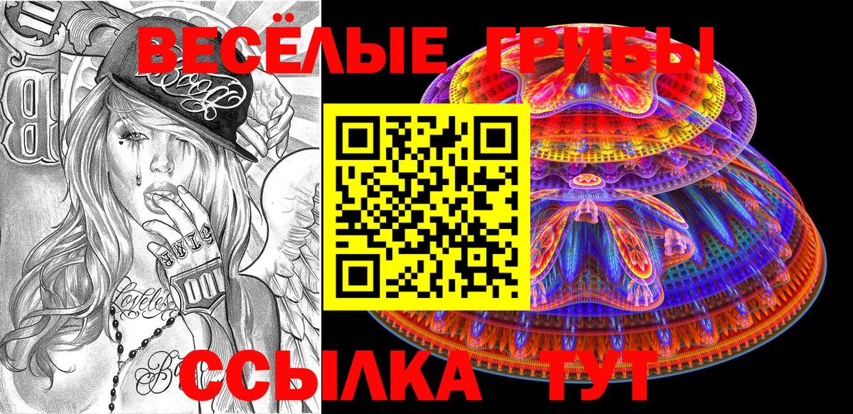 Галлюциногенные грибы мухоморы  наркошоп  Псилоцибиновые грибы ЛСД  Черняховск  Вход с VPN 